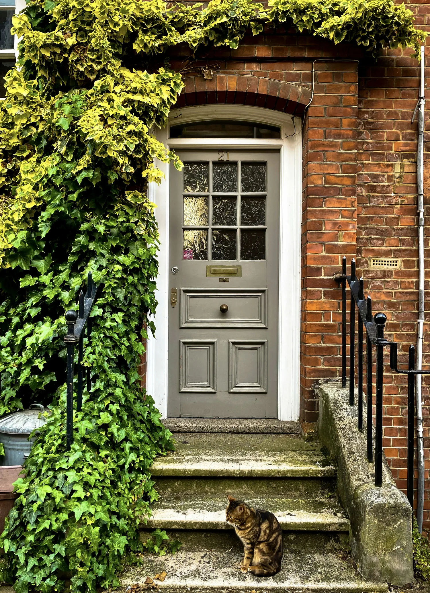 Older residential entry door before replacement and trim planning